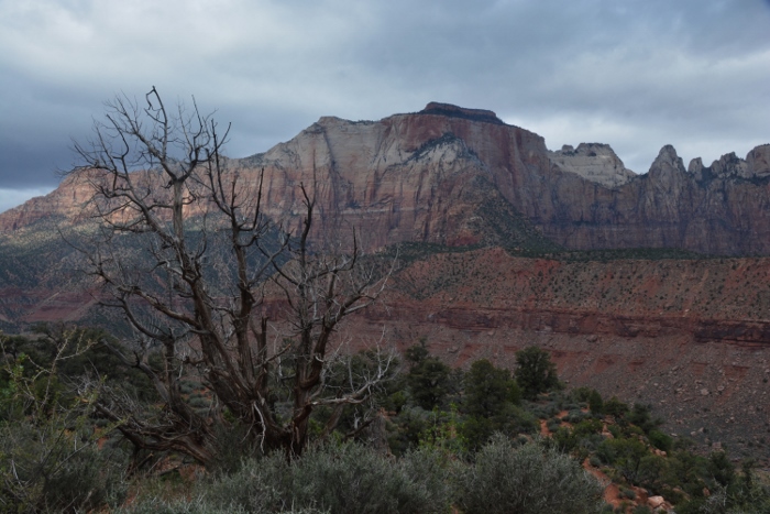 The Watchman Trail 